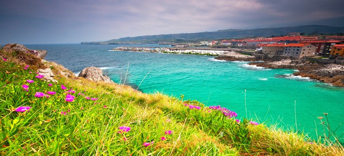 cove from hillside.jpg